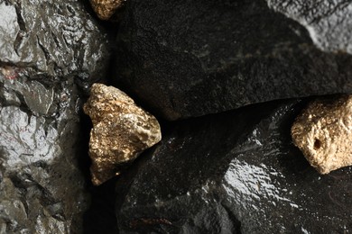 Photo of Shiny gold nuggets on wet stones, flat lay