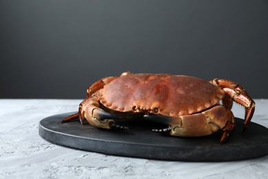 Photo of Delicious boiled crab on grey textured table, space for text