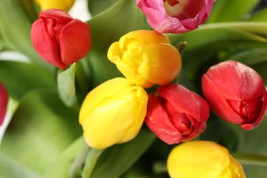 Photo of Beautiful colorful tulip flowers as background, closeup