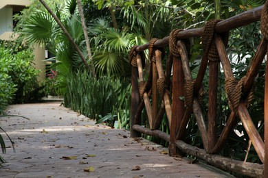 Wooden railing and beautiful exotic plants growing in tropical jungle on sunny day