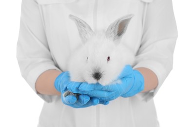 Photo of Scientist holding rabbit on white background, closeup. Animal testing concept
