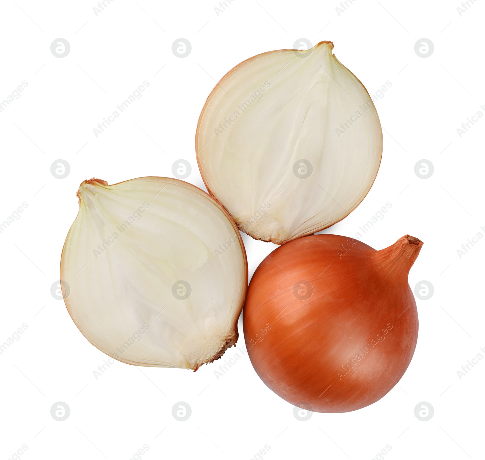 Photo of Whole and cut onions on white background, top view