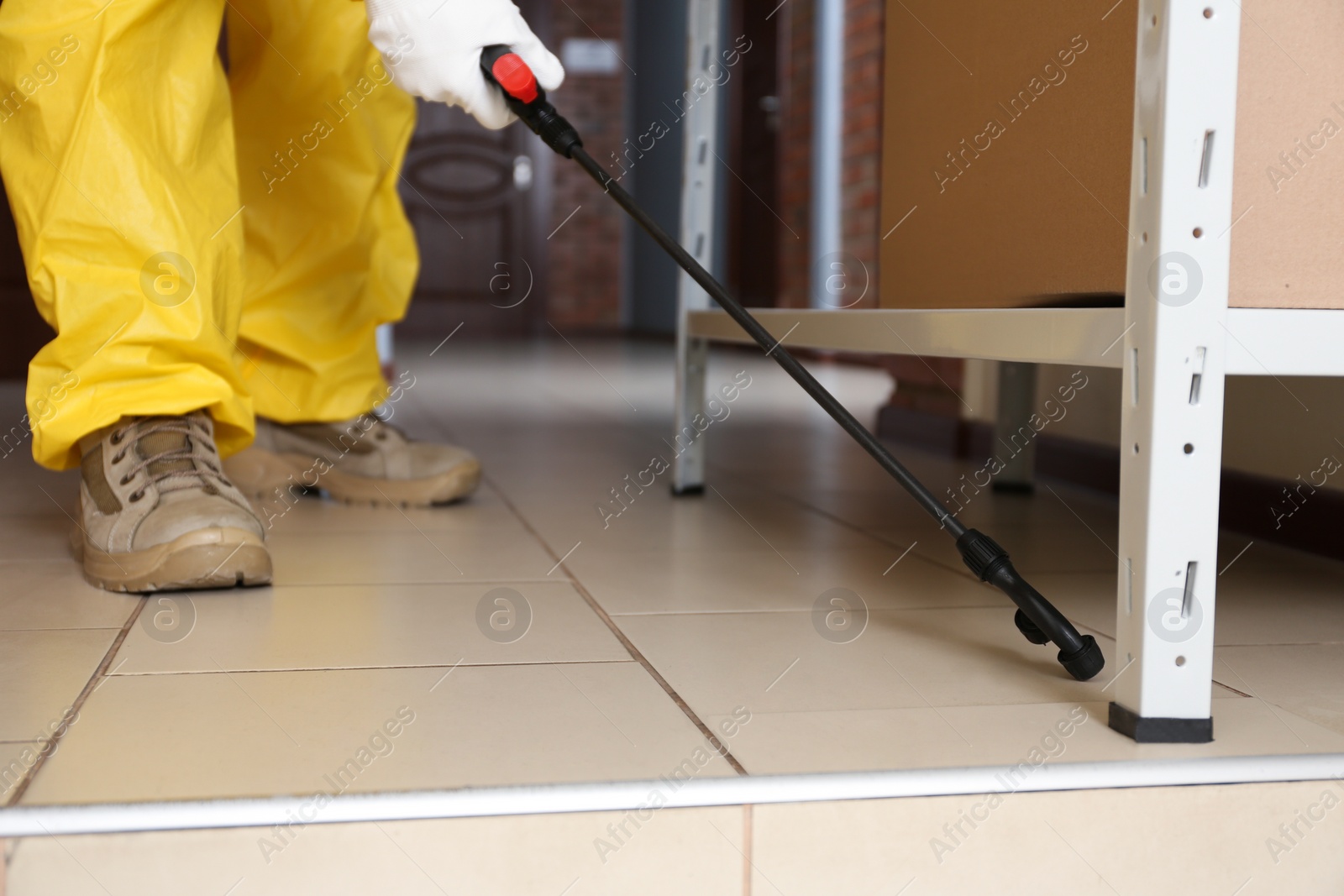 Photo of Pest control worker spraying pesticide on rack indoors, closeup