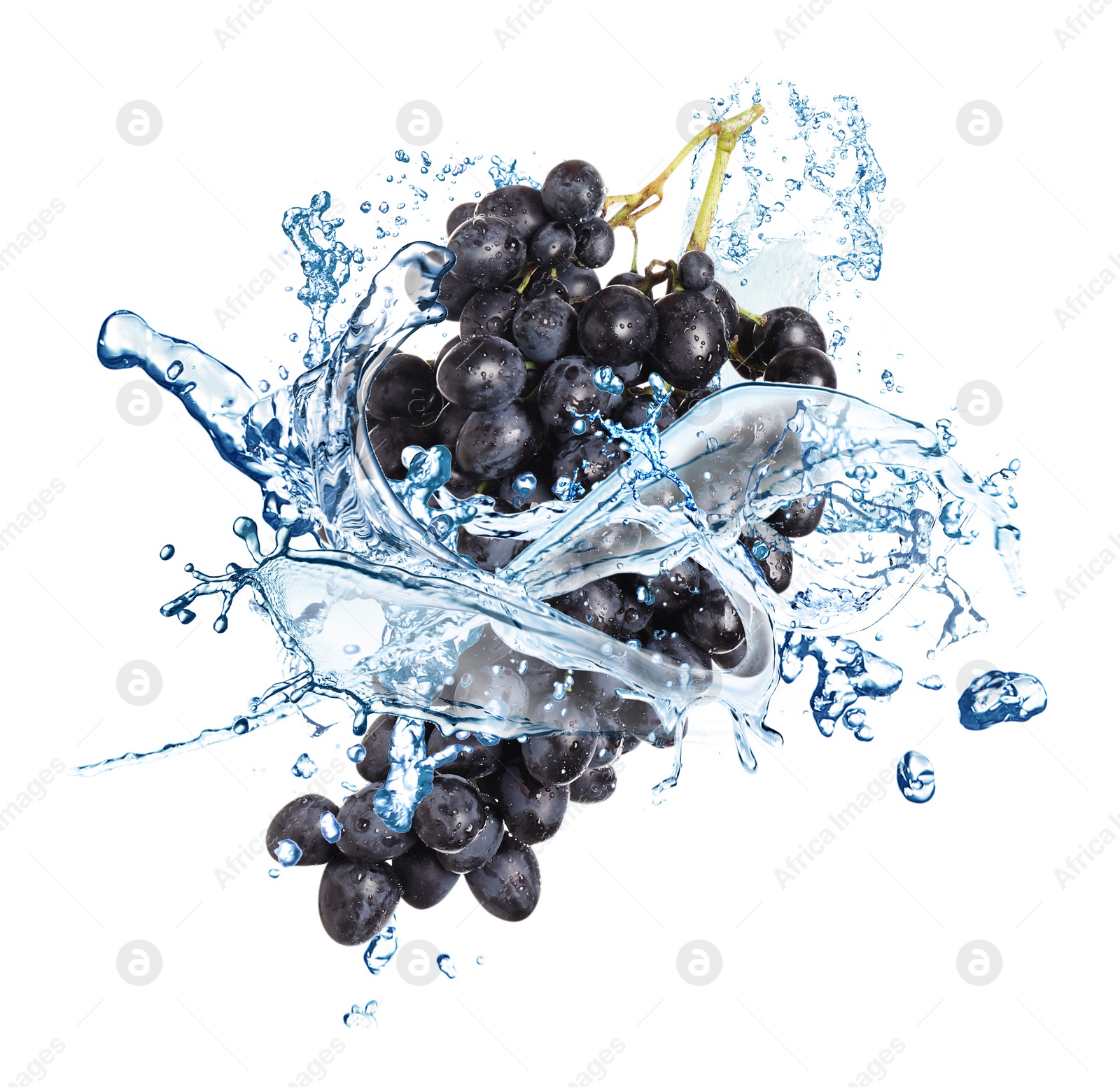 Image of Grape cluster with water splash on white background