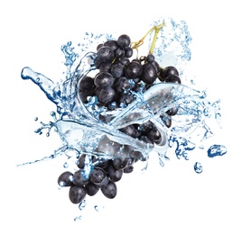 Grape cluster with water splash on white background