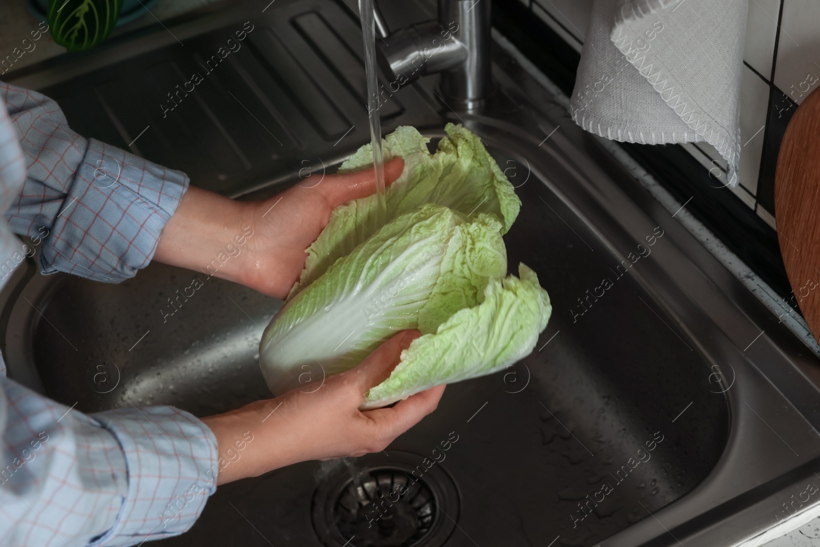 Photo of Woman washing fresh Chinese cabbage in sink, closeup