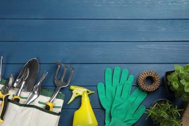 Flat lay composition with gardening tools and green plants on blue wooden background, space for text