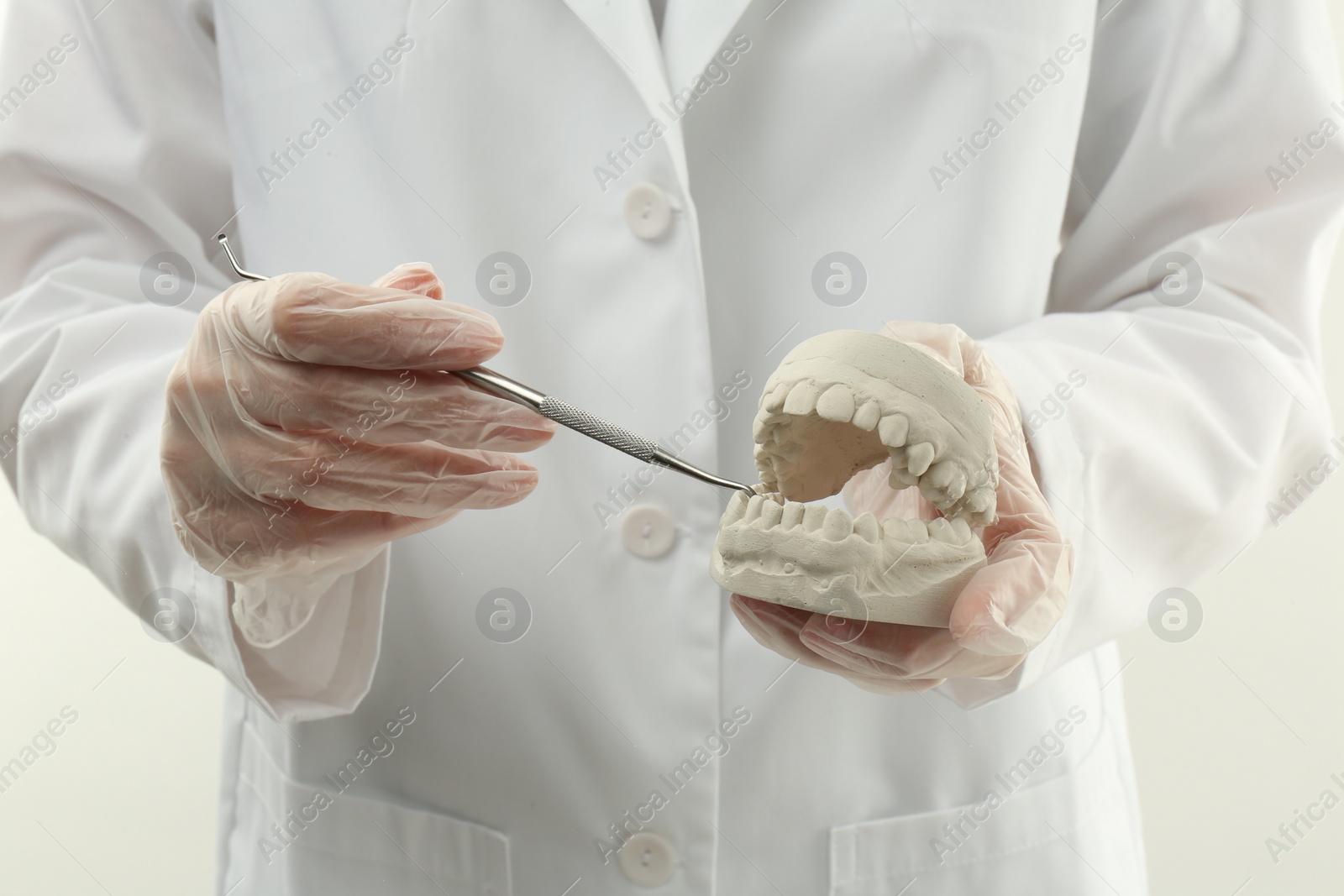 Photo of Doctor holding dental model with jaws and tool on white background, closeup. Cast of teeth