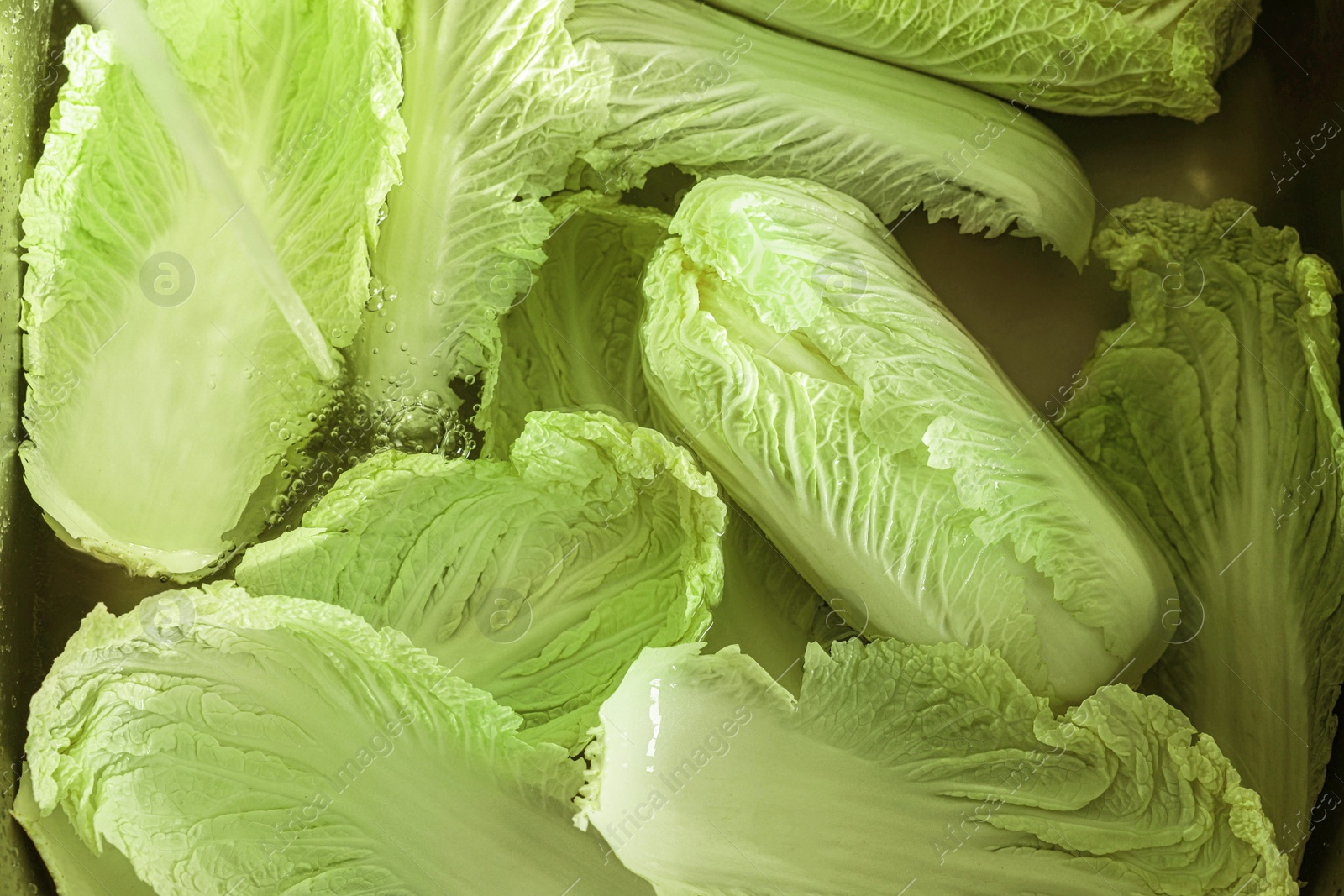 Photo of Pouring tap water on Chinese cabbage leaves in sink, top view