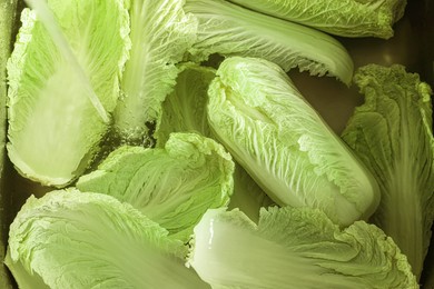 Photo of Pouring tap water on Chinese cabbage leaves in sink, top view