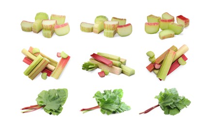 Image of Set with fresh rhubarb stalks isolated on white