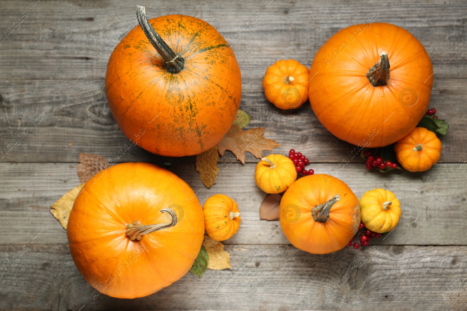 Photo of Thanksgiving day. Flat lay composition with pumpkins on wooden table