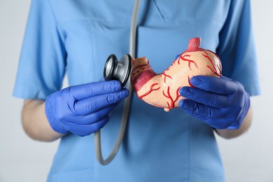 Gastroenterologist holding human stomach model and stethoscope on white background, closeup