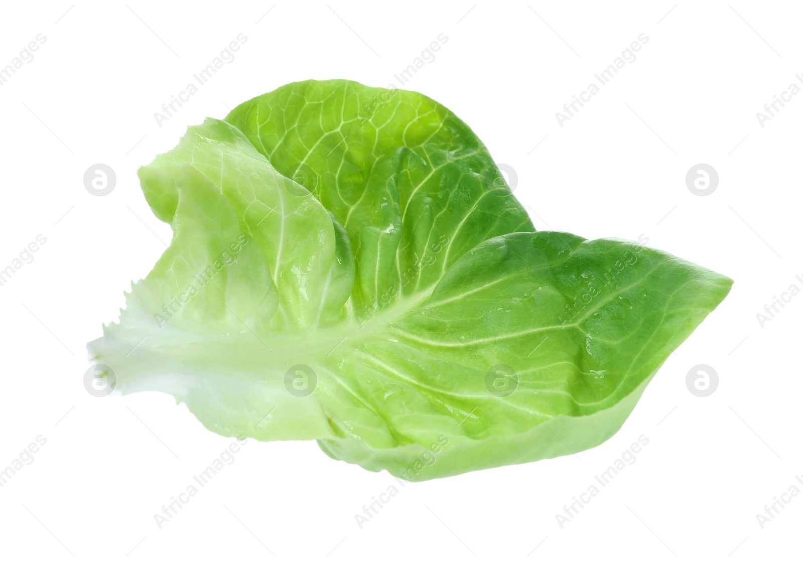 Photo of Fresh green butter lettuce leaf isolated on white