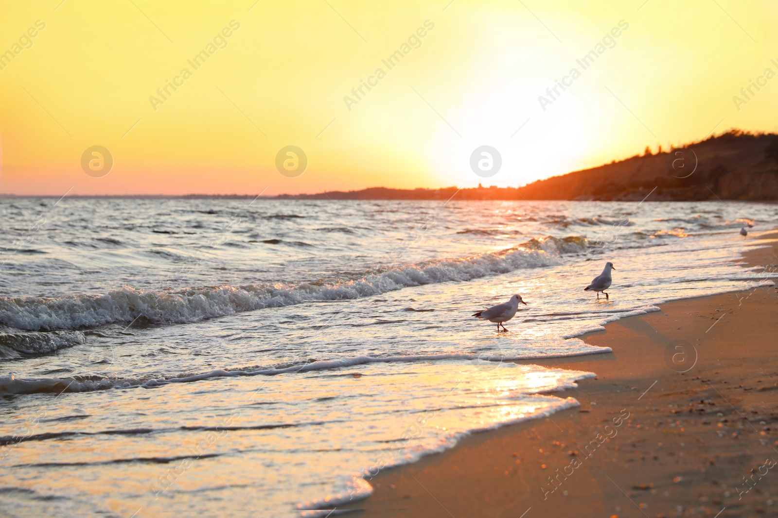 Photo of Beautiful view of sea coast at sunset