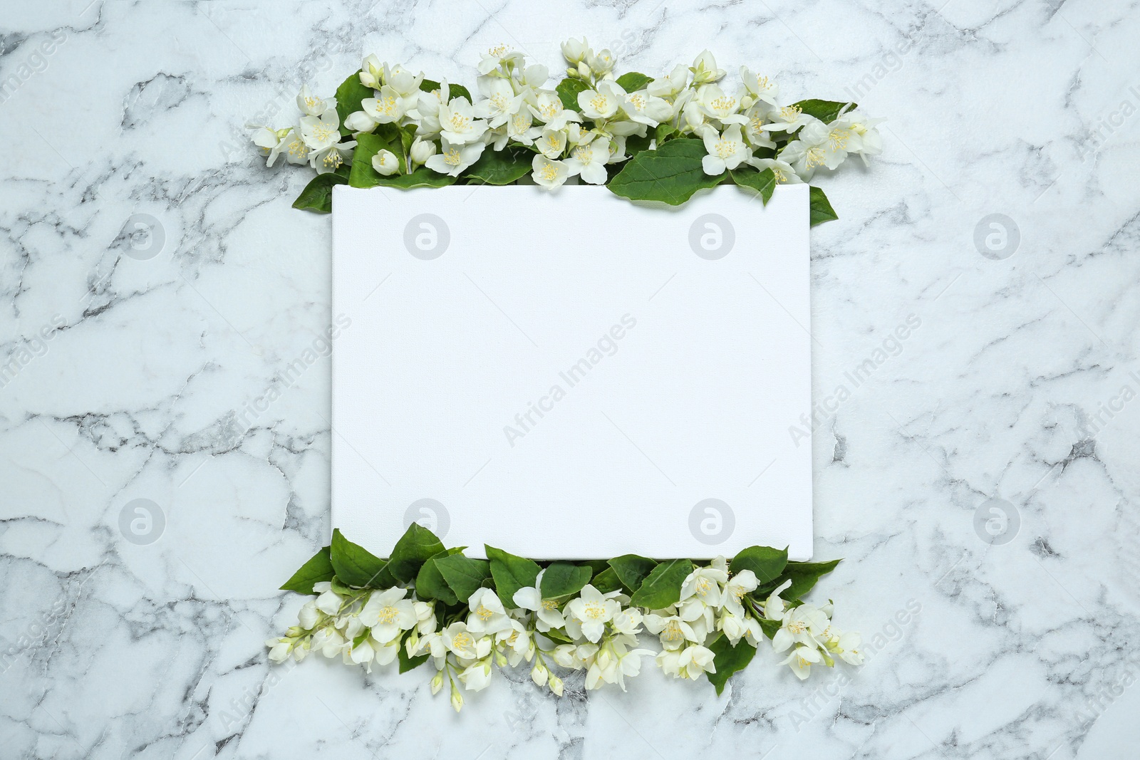 Photo of Blank canvas and beautiful jasmine flowers on white marble table, flat lay. Space for design