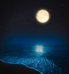 Image of Picturesque starry sky with full moon over sea at night