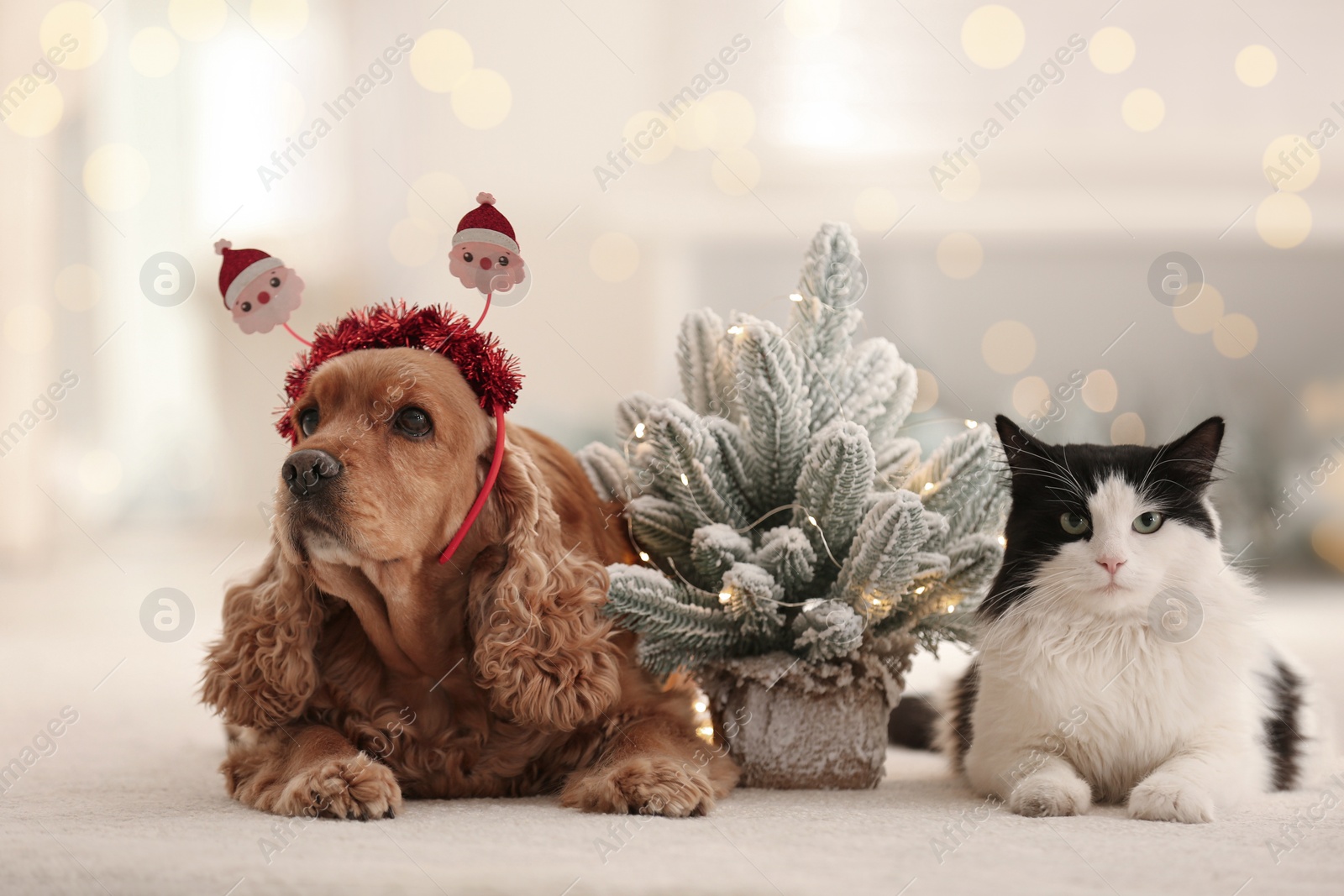 Photo of Adorable Cocker Spaniel dog in Santa headband and cat near decorative Christmas tree