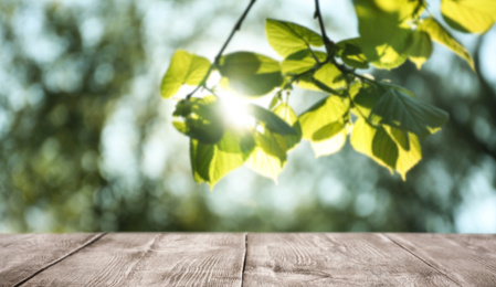 Image of Empty wooden surface against blurred green background. Sunny morning 