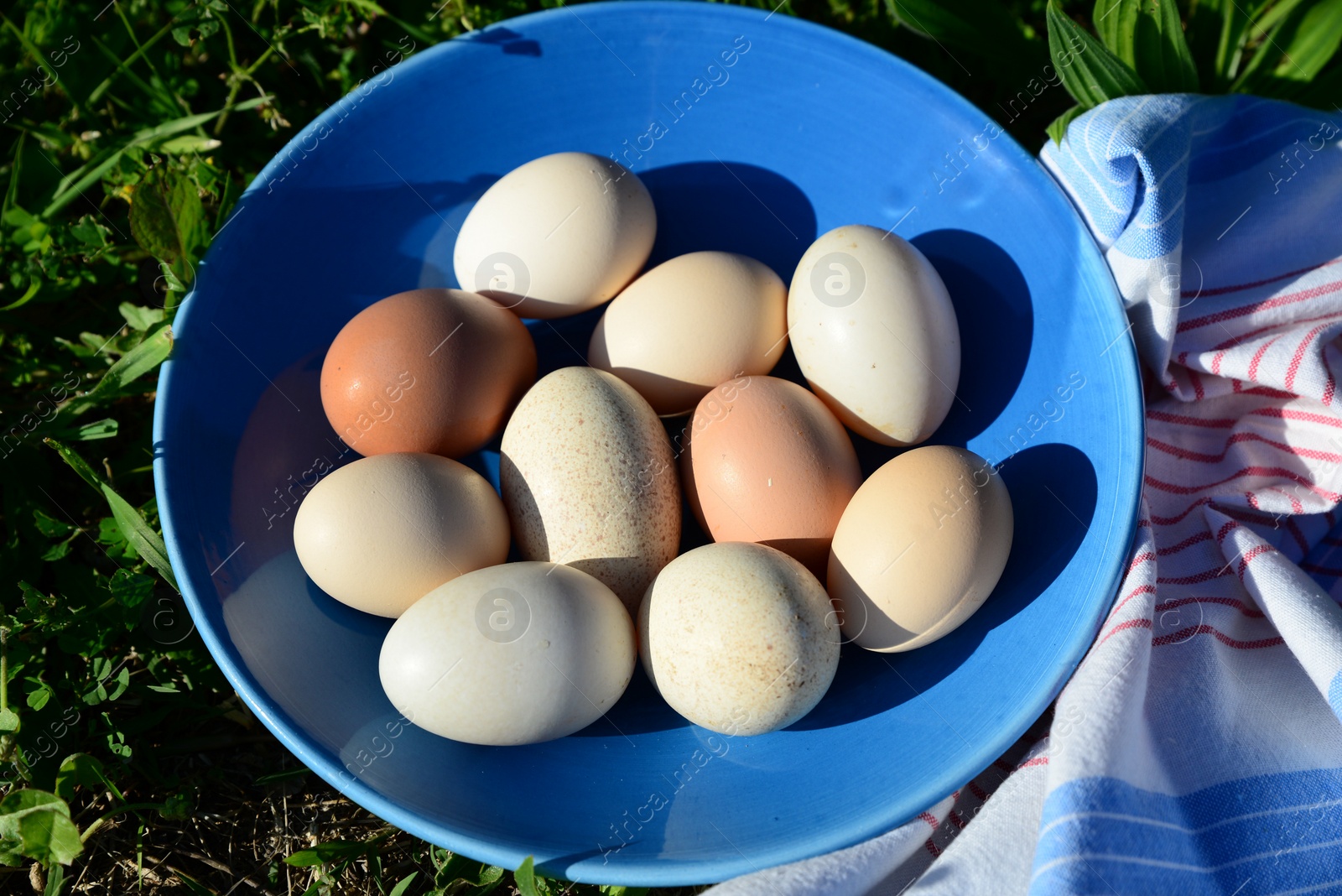 Photo of Plate of assorted eggs and napkin on green grass outdoors, above view