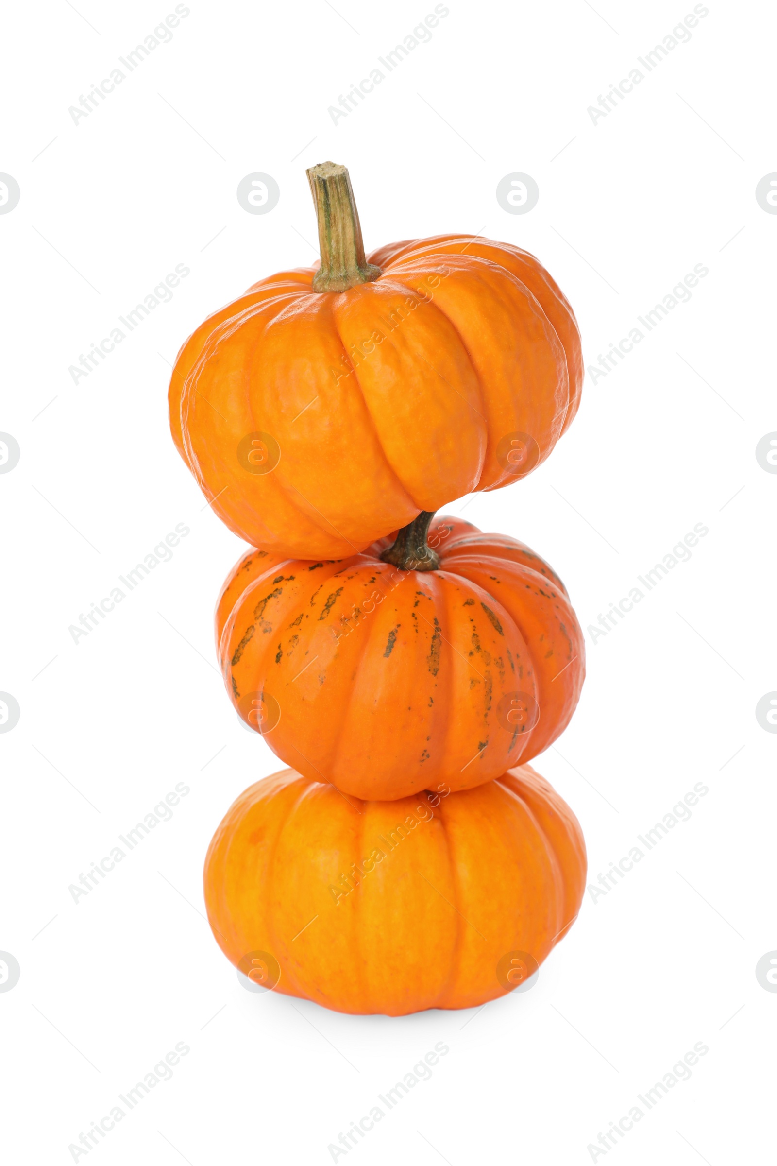 Photo of Stack of fresh ripe pumpkins on white background