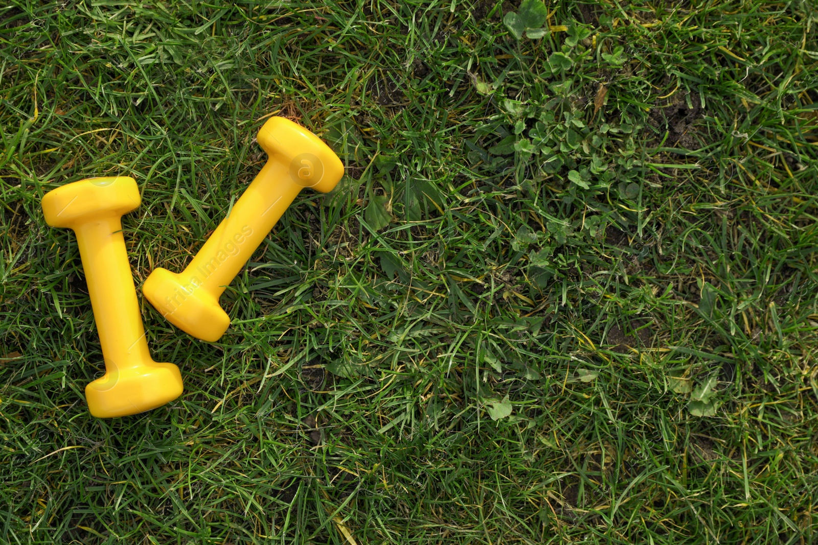 Photo of Yellow dumbbells on green grass, top view with space for text. Morning exercise