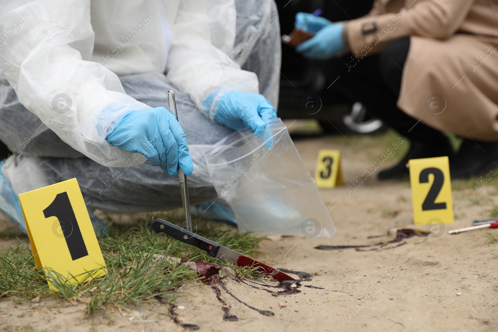 Photo of Investigator and criminologist working at crime scene outdoors, closeup