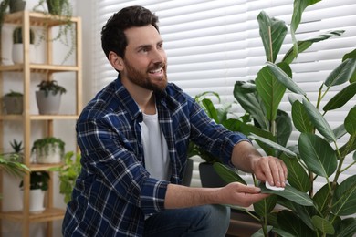 Man wiping leaves of beautiful potted houseplants indoors