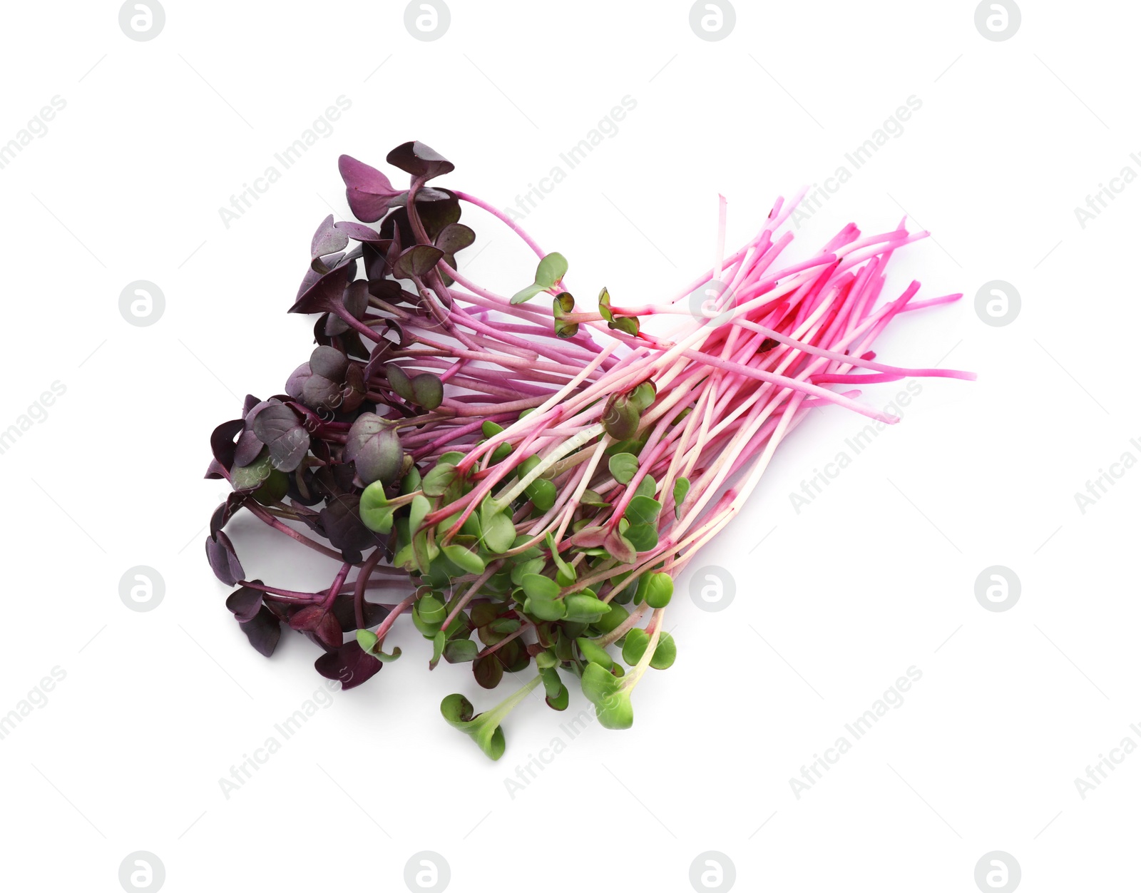 Photo of Fresh organic radish microgreens on white background, top view