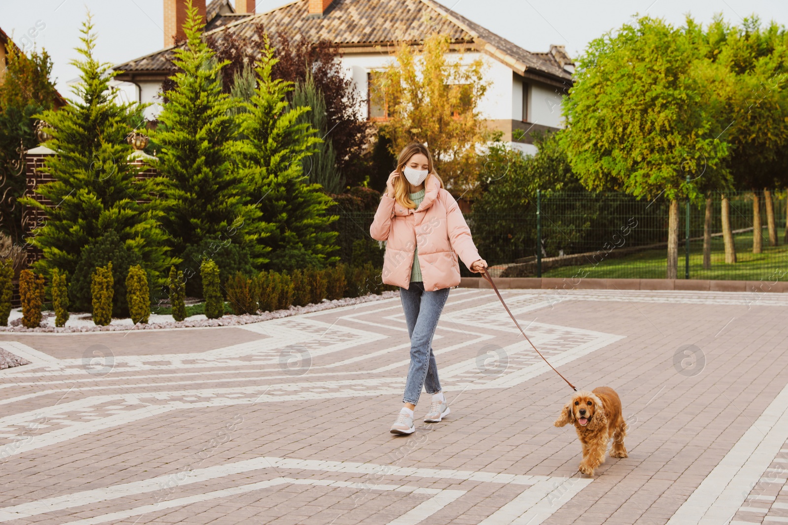 Photo of Woman in protective mask with English Cocker Spaniel outdoors. Walking dog during COVID-19 pandemic