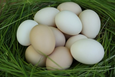 Photo of Fresh raw eggs in nest made of green grass, closeup