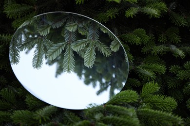 Photo of Round mirror among fir branches reflecting beautiful sky and twigs