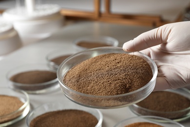 Woman holding Petri dish with soil sample over table, closeup. Laboratory research