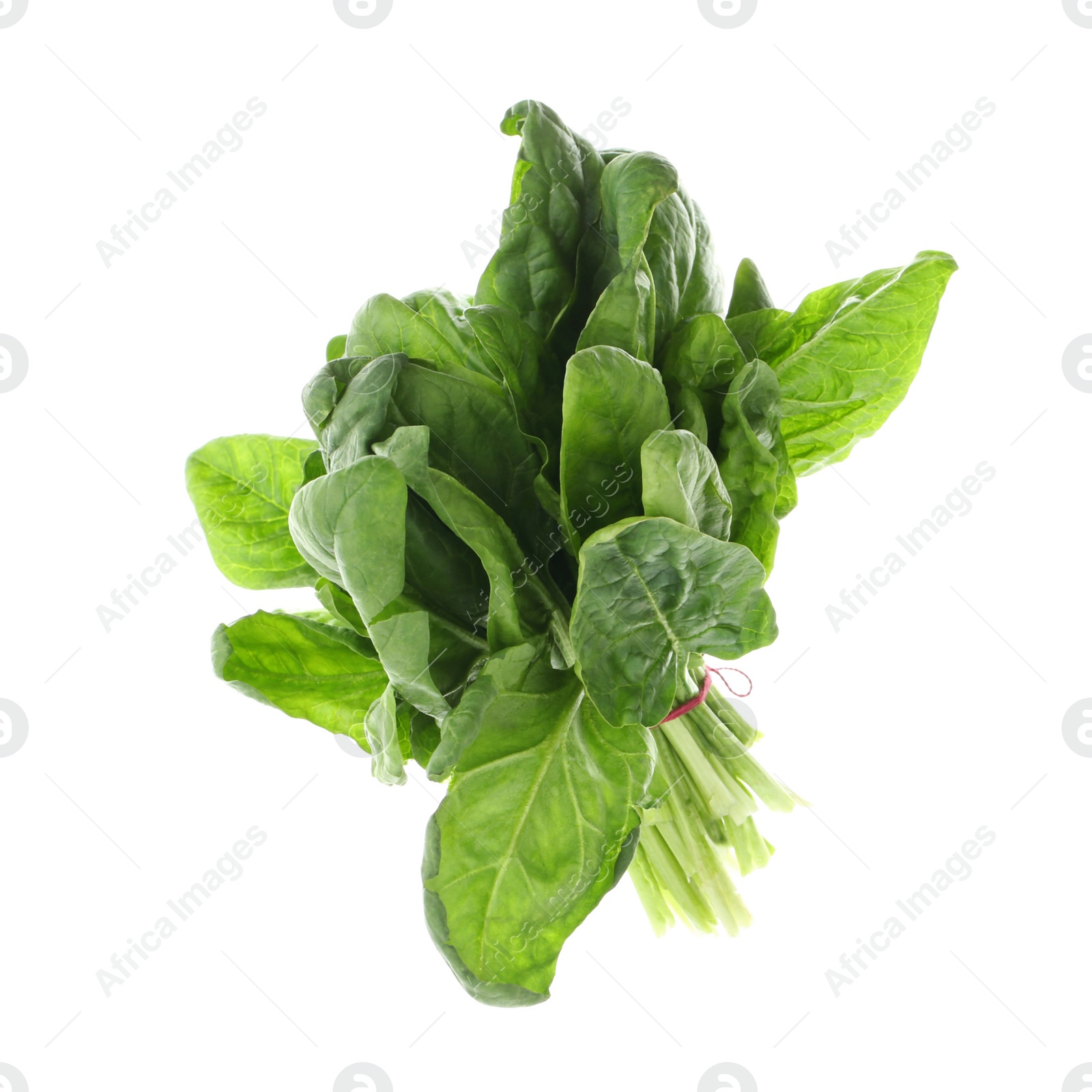 Photo of Bundle of fresh spinach isolated on white