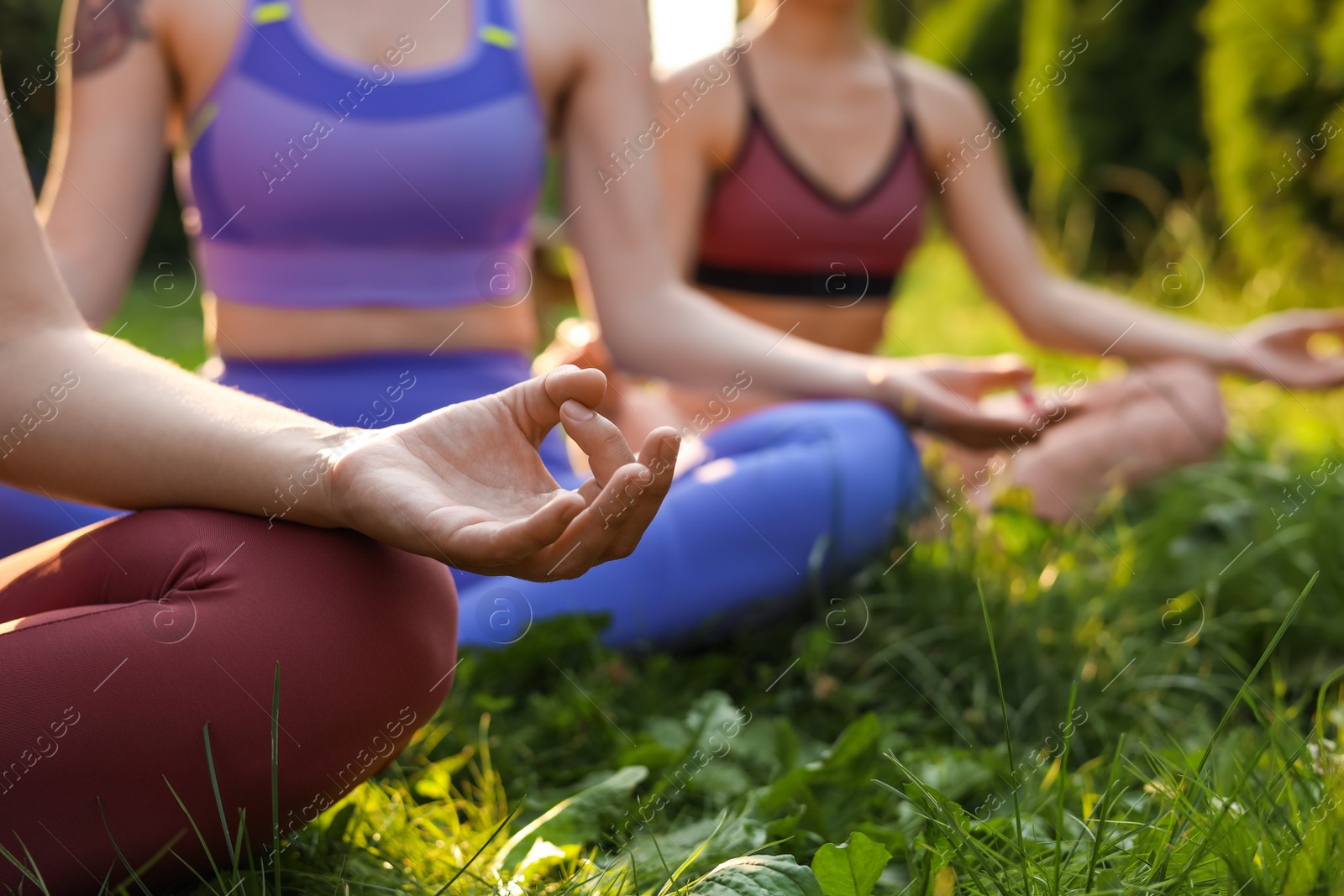 Photo of Women meditating on green grass outdoors, closeup. Morning yoga