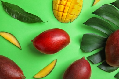 Flat lay composition with ripe mangoes and leaves on color background