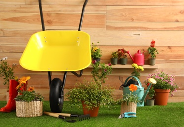 Wheelbarrow with gardening tools and flowers near wooden wall