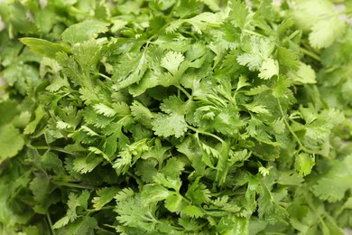 Photo of Fresh green coriander leaves as background, top view