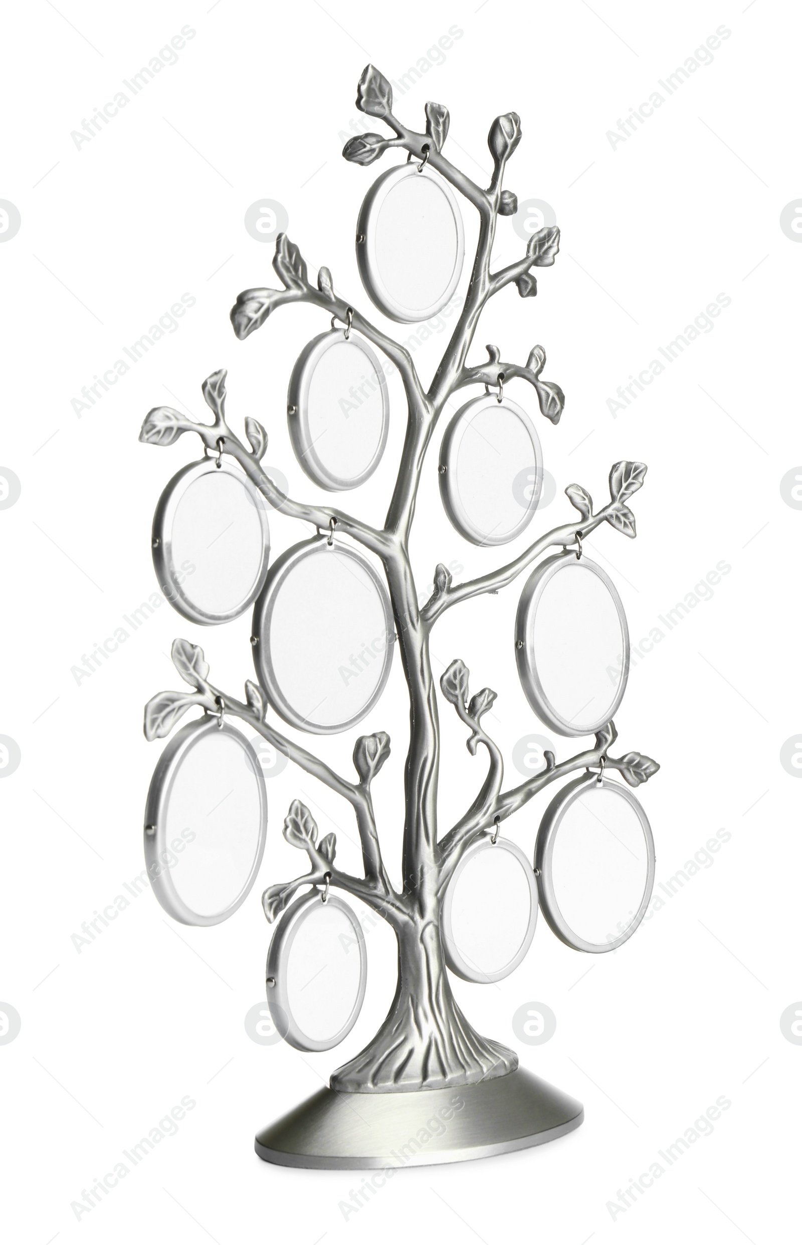 Photo of Blank metal family tree frame isolated on white