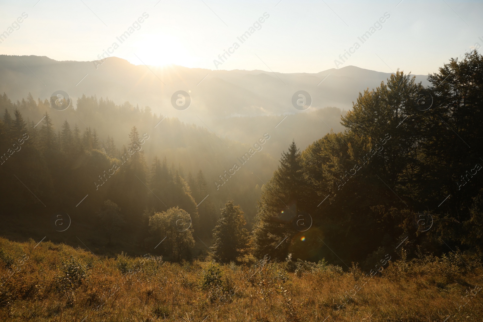 Photo of Amazing view of beautiful foggy mountains in morning