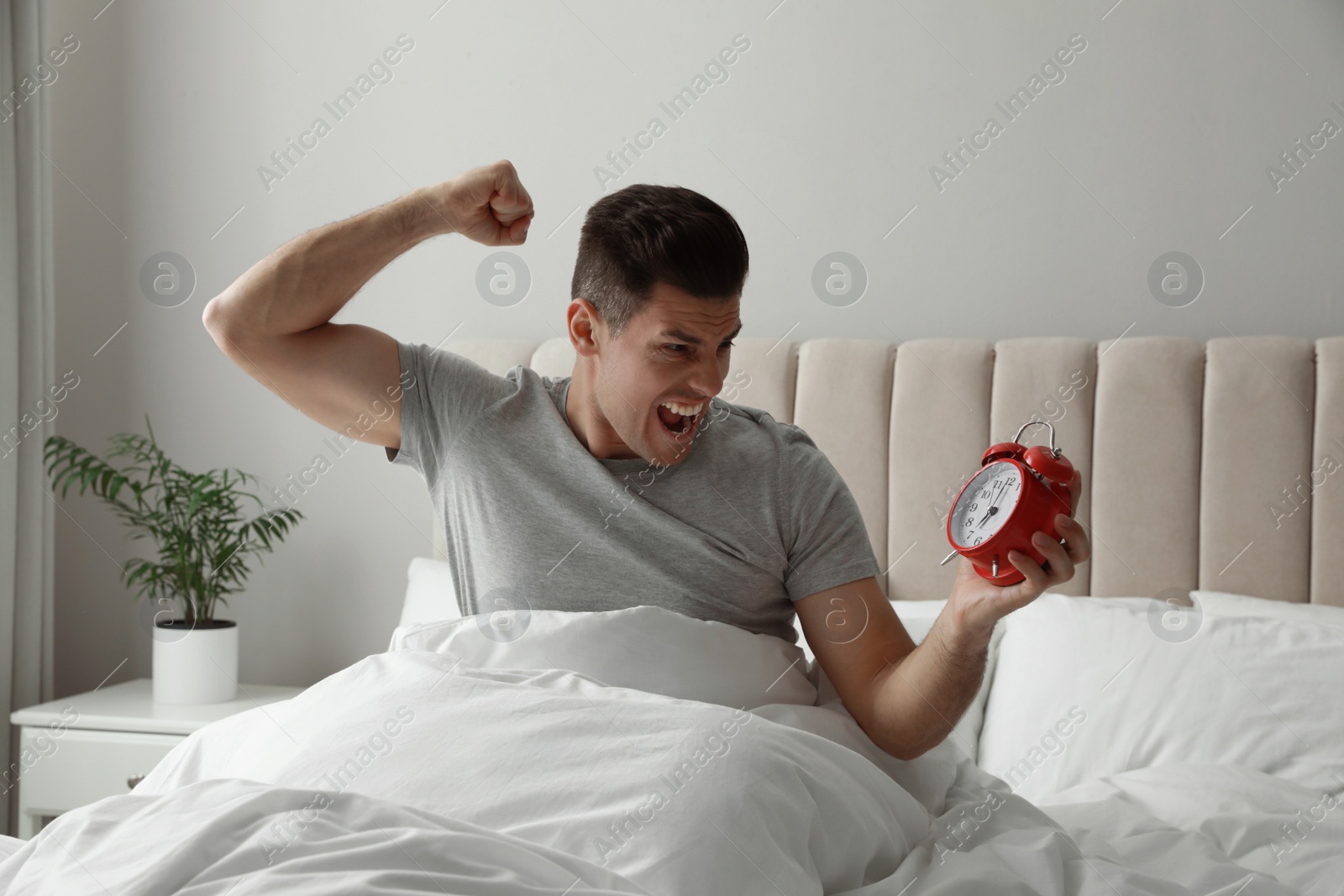 Photo of Emotional man with alarm clock in bed. Being late because of oversleeping