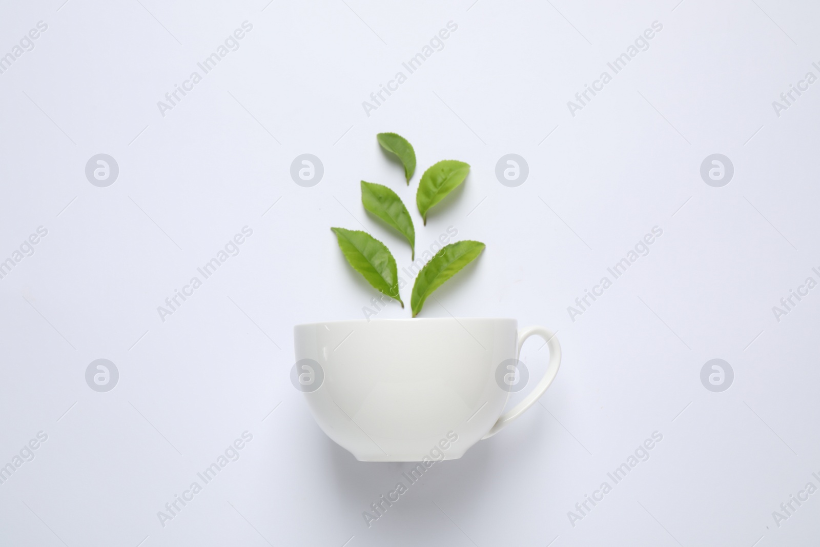 Photo of Fresh tea leaves and cup isolated on white