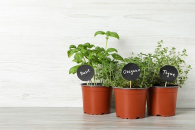 Different aromatic potted herbs on table against white wooden background. Space for text