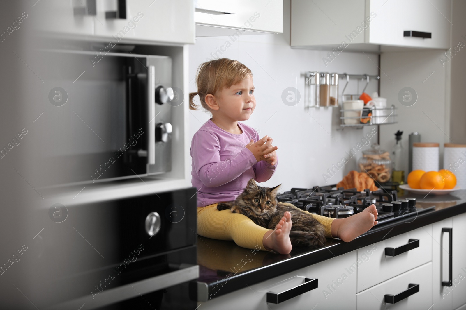 Photo of Cute little child sitting with adorable pet on countertop in kitchen