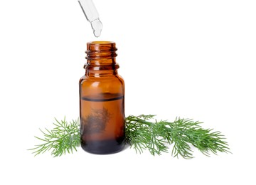 Dripping dill essential oil from pipette into bottle isolated on white