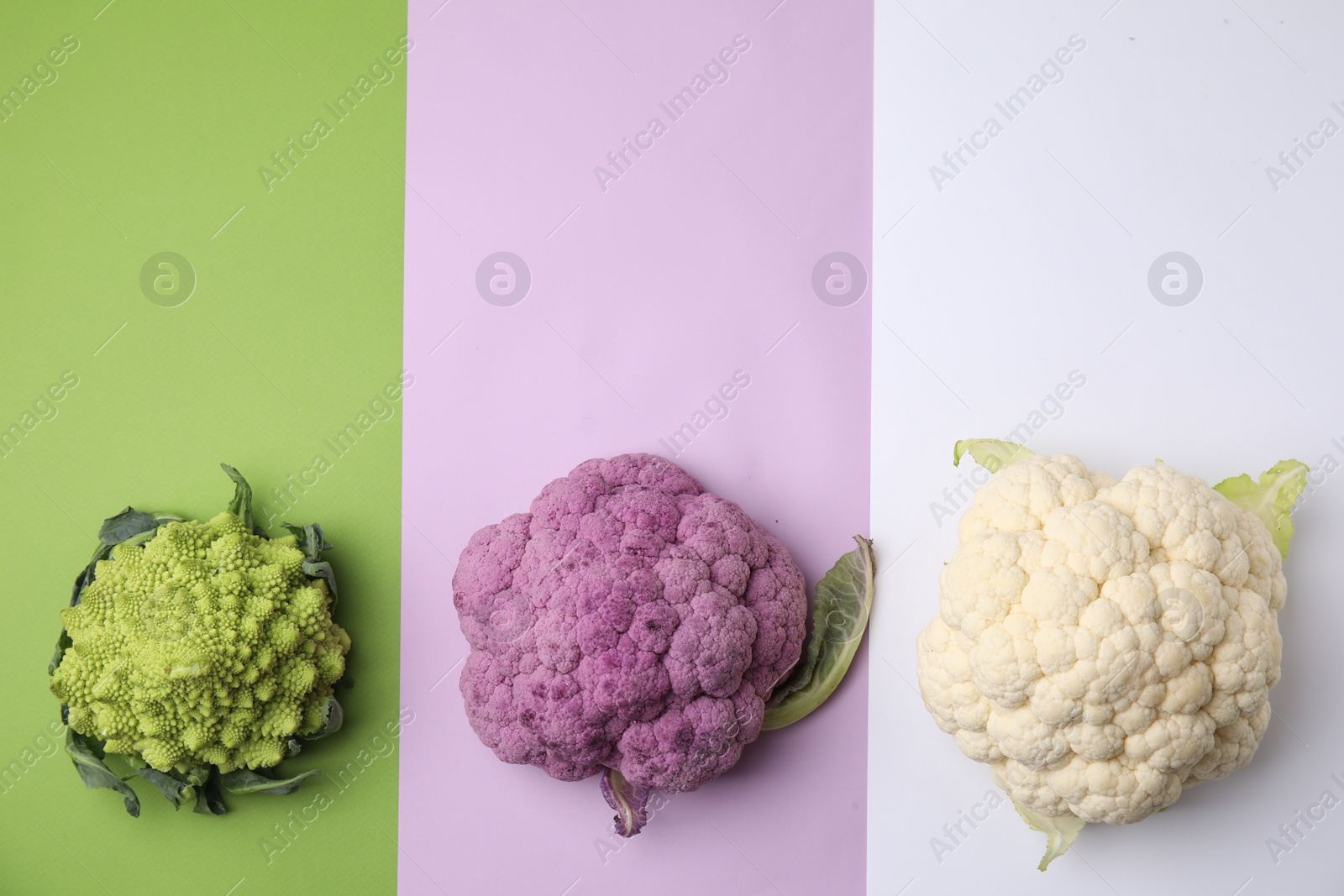 Photo of Different fresh cabbages on colorful background, flat lay. Space for text