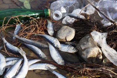 Photo of Dead fishes and trash in river. Environmental pollution concept