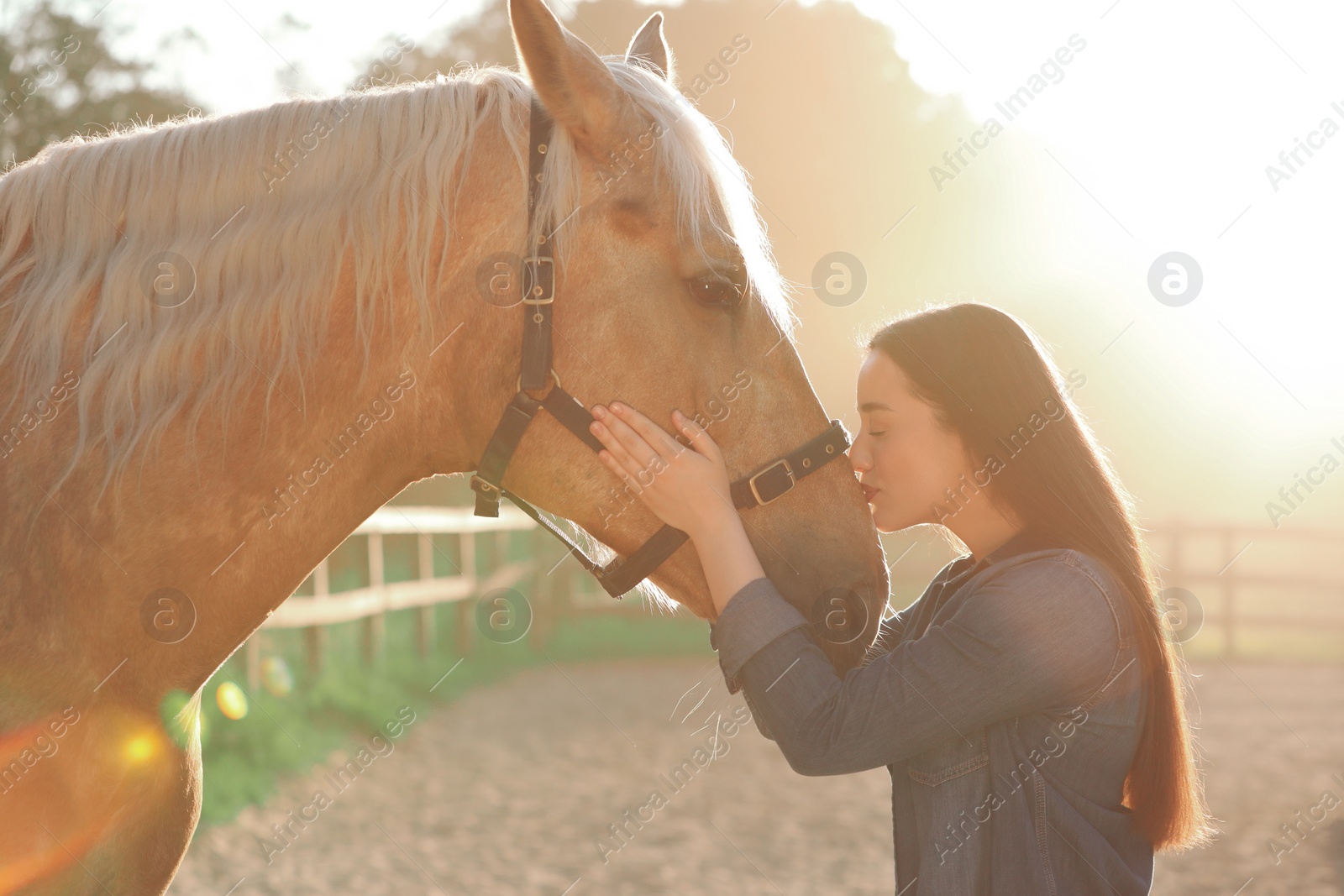 Photo of Beautiful woman with adorable horse outdoors on sunny day. Lovely domesticated pet