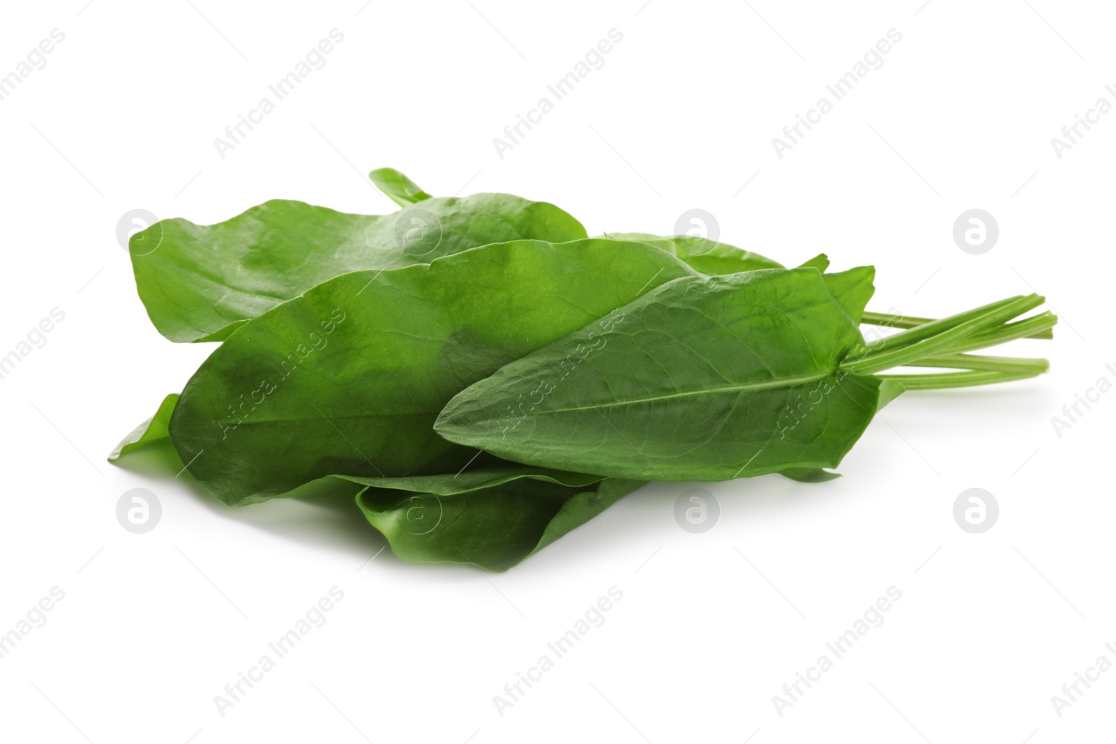 Photo of Bunch of fresh green sorrel leaves on white background