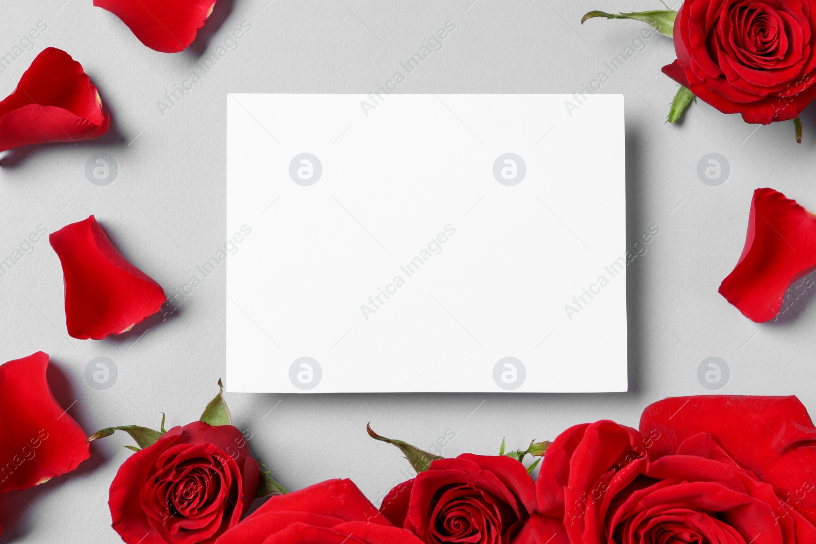 Photo of Blank card, beautiful red roses and petals on grey background, flat lay. Space for text